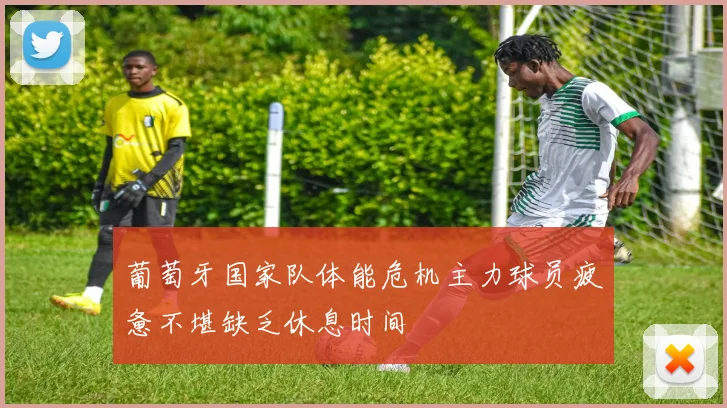 葡萄牙国家队体能危机主力球员疲惫不堪缺乏休息时间