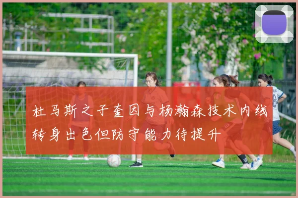 杜马斯之子奎因与杨瀚森技术内线转身出色但防守能力待提升